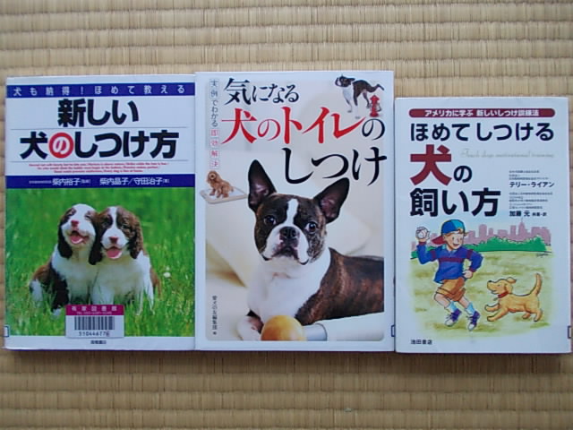 Books 20130201