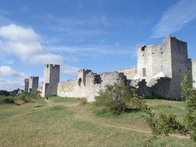 P7150054.jpg