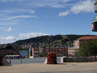 P8150174-1.jpg