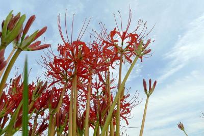 2011-09-25№(0703)