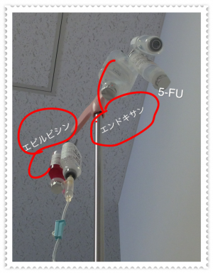 IMG_0210_convert_2013030800015.png