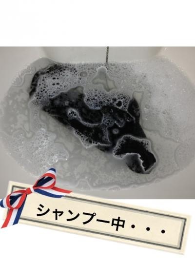 image22.jpg