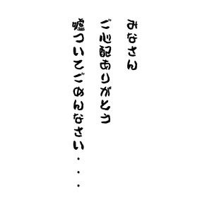 image46.jpg