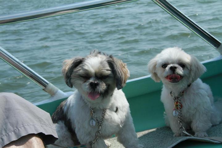 002_20110818224327.jpg