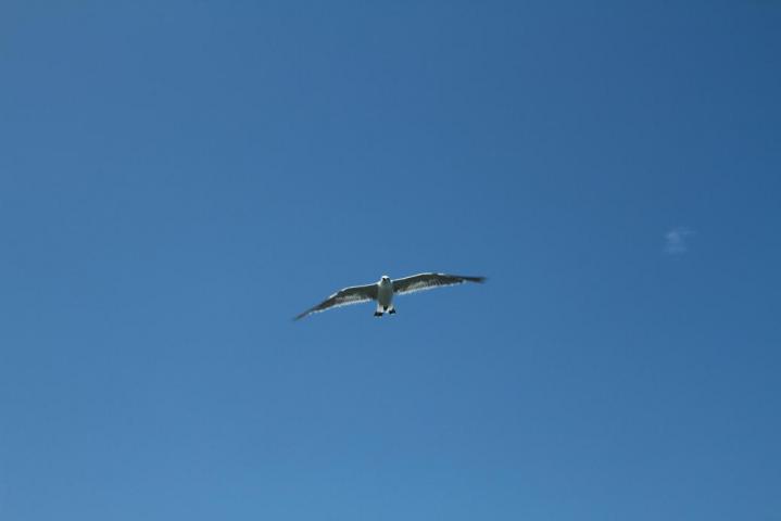 008_20110818224326.jpg