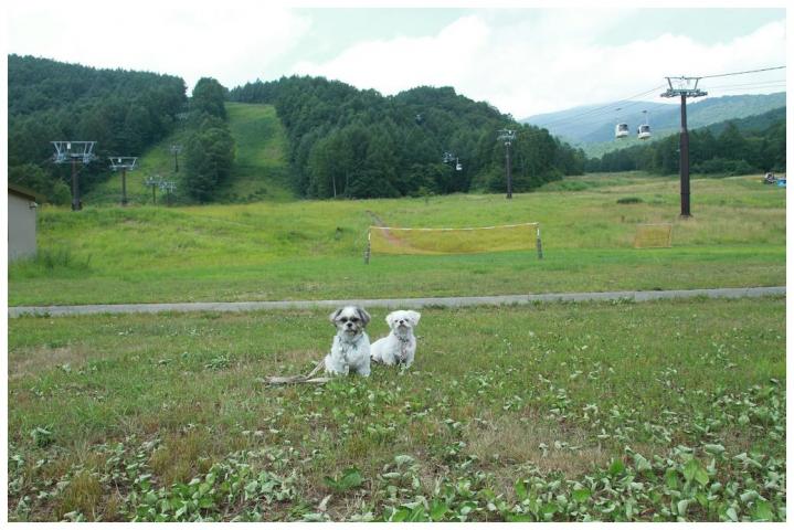 107_20110822103639.jpg