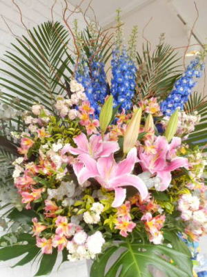 2013043023.jpg