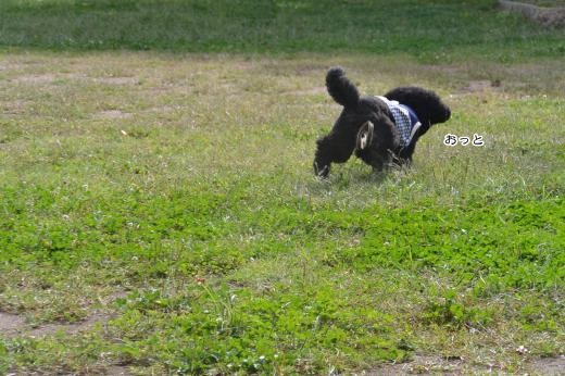 DSC_7345_convert_20141008235724.jpg