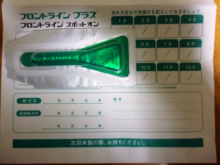 P1000877.jpg