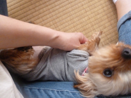 P1010107.jpg