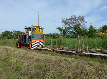 P1070285.jpg