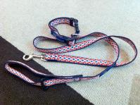 canine equipment
