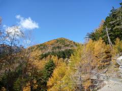 南アルプス 北岳 両俣小屋