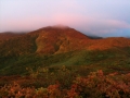 marukin-019.jpg