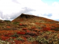 marukin-042.jpg