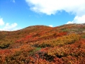 marukin-045.jpg