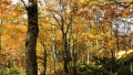 tenjin-01015.jpg