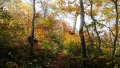 tenjin-01016.jpg