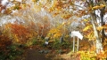 tenjin-01017.jpg