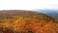 tenjin-01019.jpg