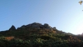 toriarama2-001.jpg