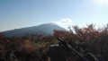 toriarama2-007.jpg