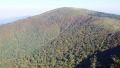 toriarama2-009.jpg