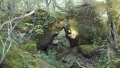 toriarama2-010.jpg