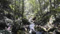 toriarama2-013.jpg