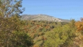 toriatama-001.jpg