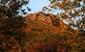 toriatama-009.jpg