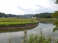 DSCN1130.jpg