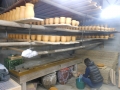 DSCN6055.jpg
