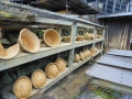 DSCN6065.jpg