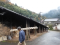DSCN6076.jpg