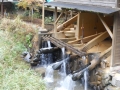 DSCN6104.jpg