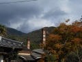 DSCN6180.jpg