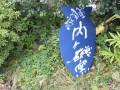 DSCN6184.jpg