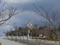 DSCN6275.jpg