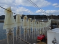 DSCN6317.jpg