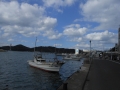 DSCN6323.jpg