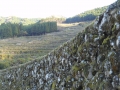 DSCN6353.jpg