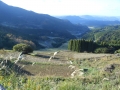 DSCN6357.jpg