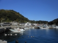 DSCN6595.jpg