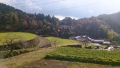 DSC_0174.jpg