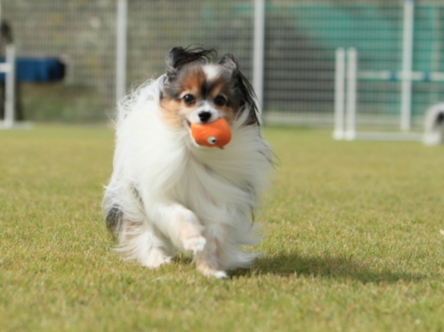 13-IMG_4467.jpg
