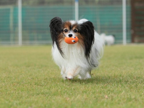21-IMG_4653.jpg