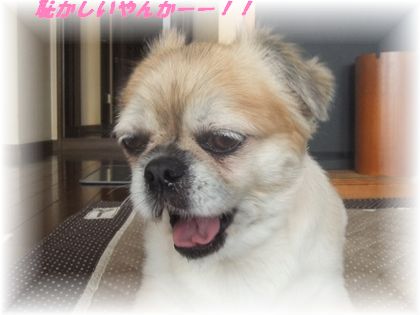 レトロ