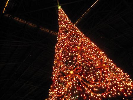 IMG_4367.jpg