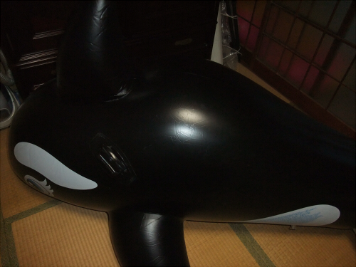 DSCF1295.jpg
